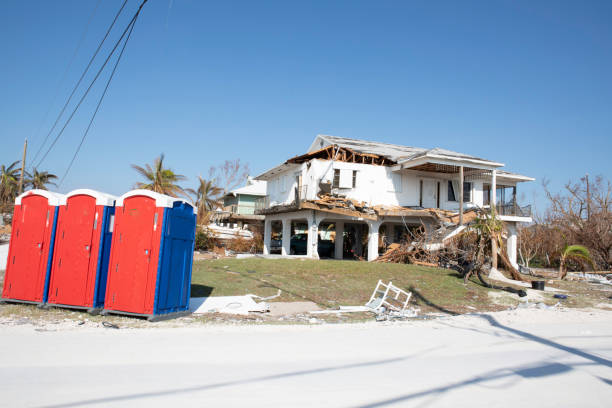  Colorado City, AZ Tree Removal Pros